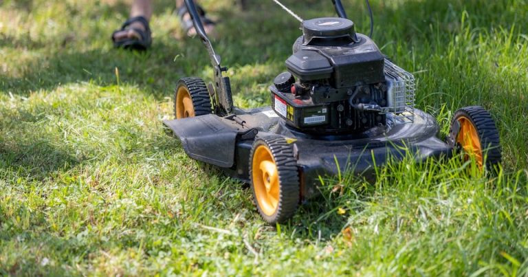 How to Sharpen the Blades on a Push Lawn Mower: Clean Cuts, Healthier Grass