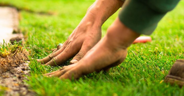 How to do a Soil Test on My Lawn: Diagnose, Fix, Thrive