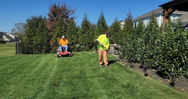 What Happens if You Don’t Mow Your Lawn: Ecology, Risk, and Recovery
